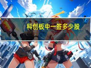 科创板中一签多少股