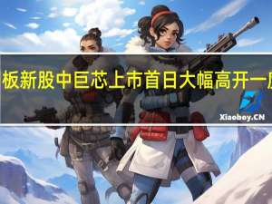 科创板新股中巨芯上市首日大幅高开一度涨超190%