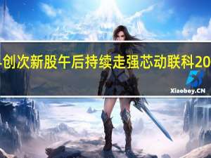 科创次新股午后持续走强芯动联科20cm涨停