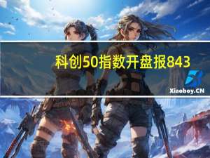 科创50指数开盘报843.88点跌0.64%