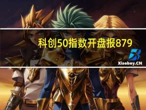 科创50指数开盘报879.35点跌0.02%