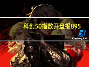 科创50指数开盘报895.47点跌0.50%