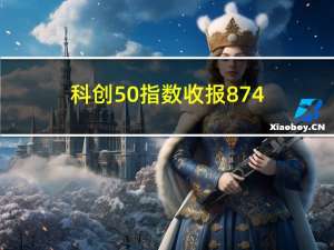 科创50指数收报874.55点跌0.94%