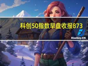 科创50指数早盘收报873.35点涨1.56%