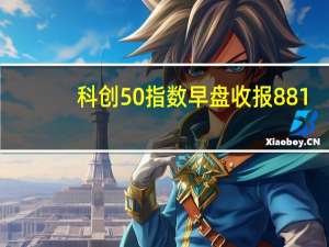 科创50指数早盘收报881.83点跌0.58%