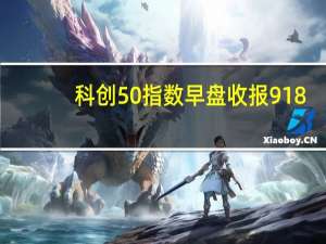 科创50指数早盘收报918.90点跌1.25%成交额275亿