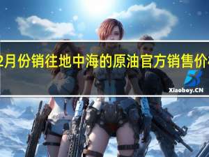 科威特将12月份销往地中海的原油官方销售价格定为每桶升水0.1美元