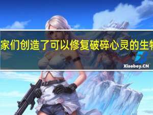 科学家们创造了可以修复破碎心灵的生物打印补丁