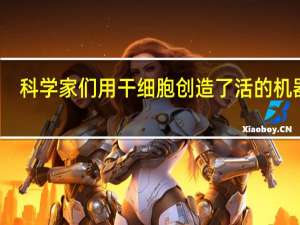 科学家们用干细胞创造了活的机器人