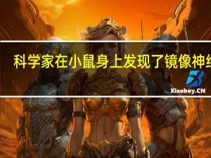 科学家在小鼠身上发现了镜像神经元