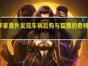 科学家意外发现车祸后狗与狐狸的奇特杂交后代