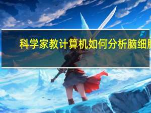 科学家教计算机如何分析脑细胞