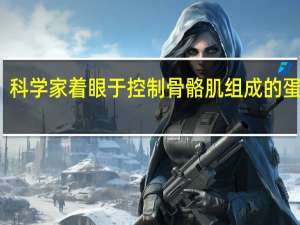 科学家着眼于控制骨骼肌组成的蛋白质