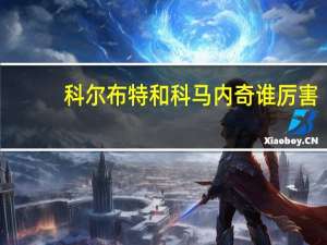 科尔布特和科马内奇谁厉害