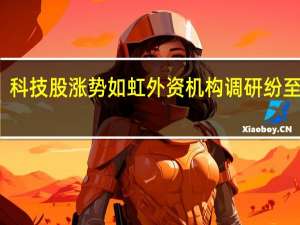 科技股涨势如虹 外资机构调研纷至沓来