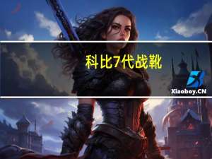 科比7代战靴（关于科比7代战靴的介绍）
