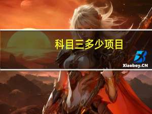 科目三多少项目