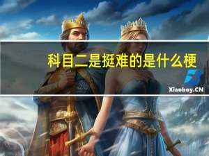 科目二是挺难的是什么梗