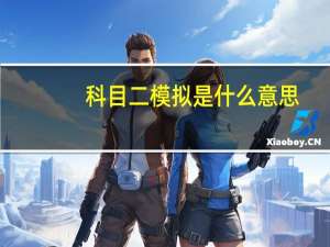 科目二模拟是什么意思