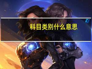 科目类别什么意思