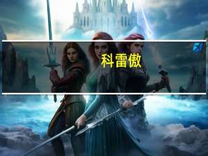 科雷傲:科雷傲铠甲-Lux特别版车型官图曝光