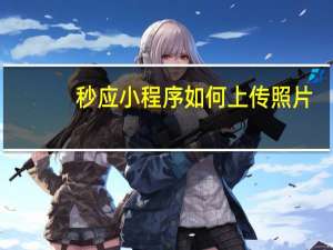 秒应小程序如何上传照片