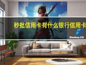 秒批信用卡有什么银行信用卡