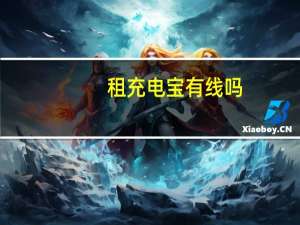 租充电宝有线吗