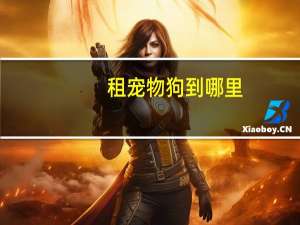 租宠物狗到哪里