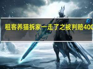 租客养猫拆家一走了之被判赔4000元