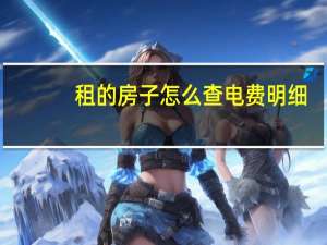租的房子怎么查电费明细