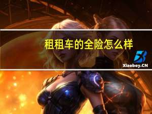 租租车的全险怎么样