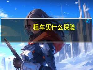 租车买什么保险
