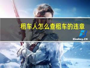 租车人怎么查租车的违章