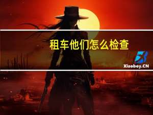 租车他们怎么检查