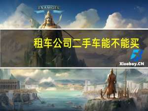 租车公司二手车能不能买