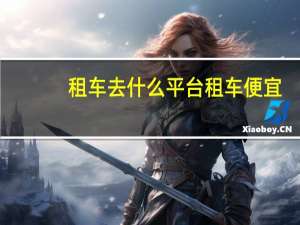租车去什么平台租车便宜
