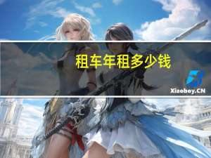 租车年租多少钱