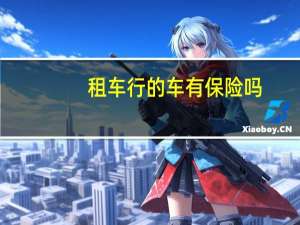 租车行的车有保险吗