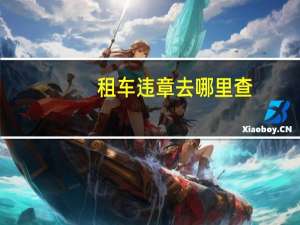 租车违章去哪里查