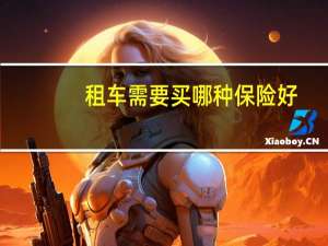 租车需要买哪种保险好