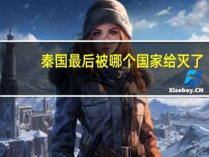 秦国最后被哪个国家给灭了（秦国被哪个国家灭）
