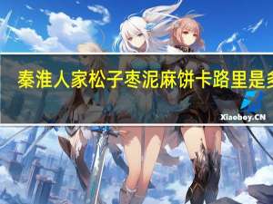 秦淮人家 松子枣泥麻饼卡路里是多少