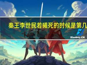 秦王李世民若曦死的时候是第几集（若惜-电视剧《秦王李世民》女主角简介）