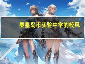 秦皇岛市实验中学的校风，师资等具体情况