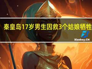 秦皇岛17岁男生因救3个姑娘牺牲豆瓣