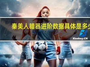 秦美人暗器进阶数据具体是多少（秦美人暗器进阶最新数据发布）
