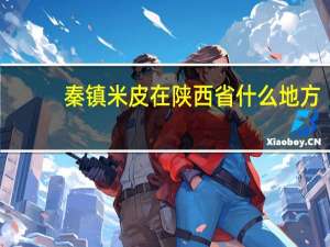 秦镇米皮在陕西省什么地方