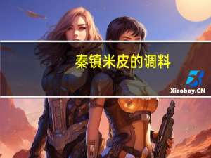 秦镇米皮的调料，去哪学