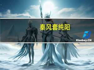 秦风套纯阳（秦风套）